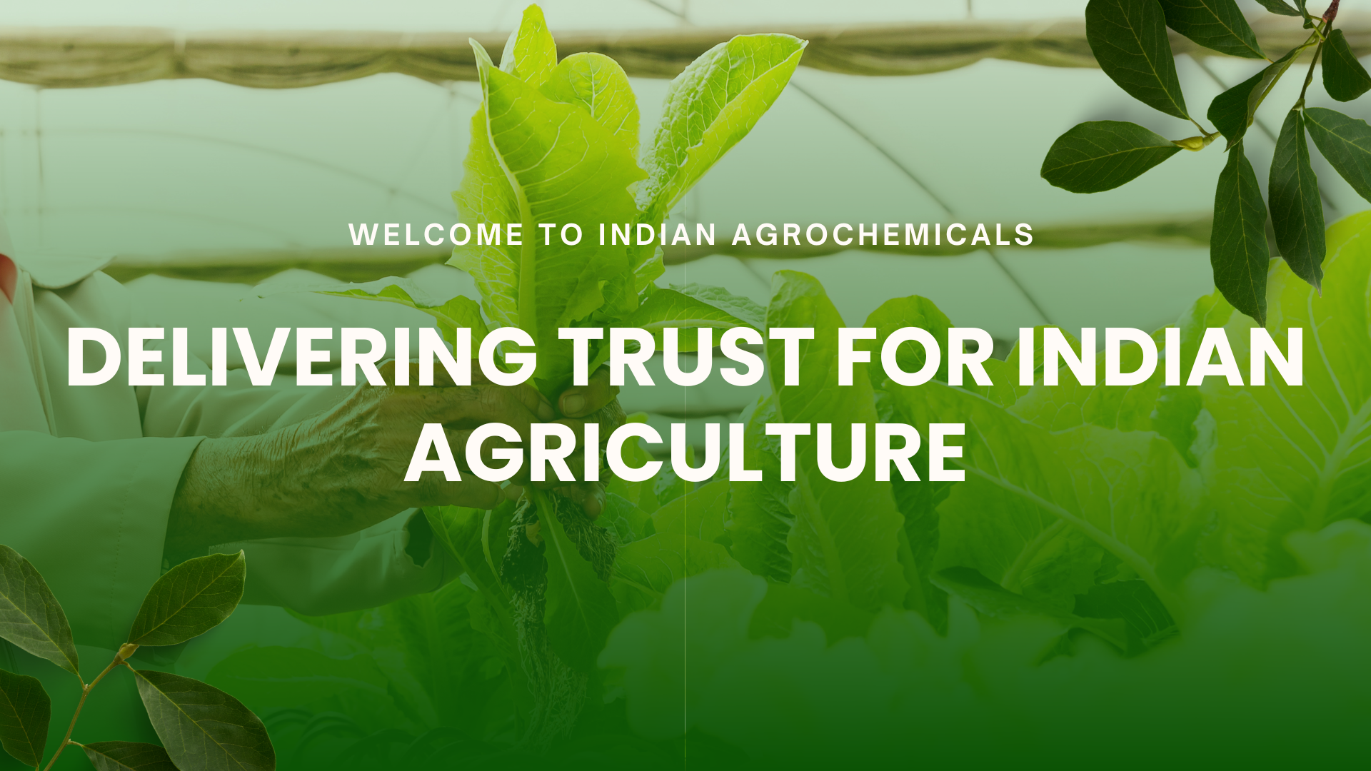 Green Gradient Agriculture Report Presentation