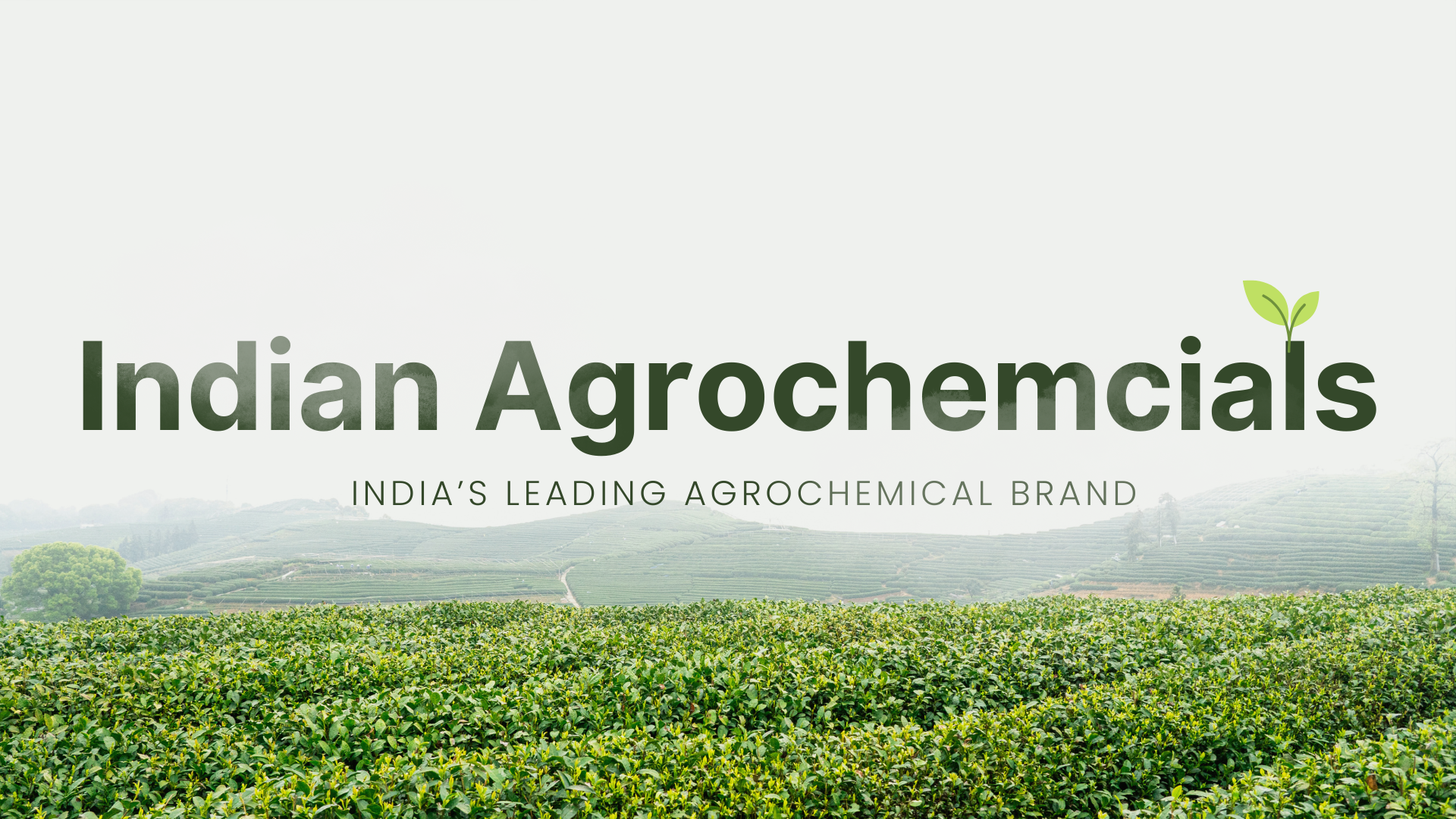 Green and White Modern Simple Agriculture Presentation