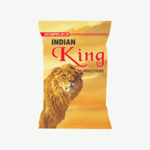 INDIAN KING