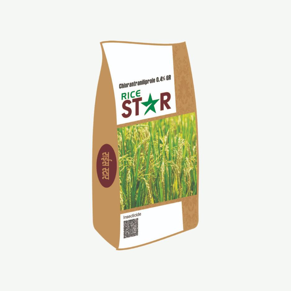 RICE STAR